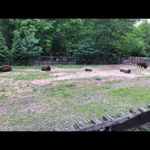 Meet your Posher, Ajay